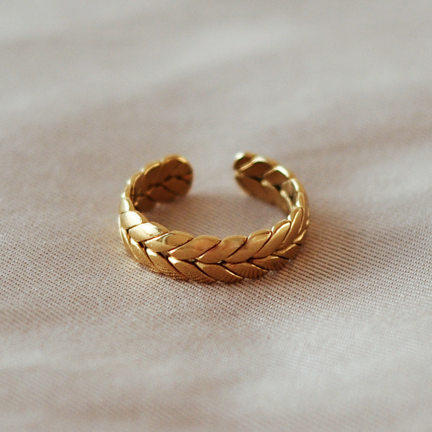 anéis bonitos, diferentes, originais, my golden girl, aço inoxidável