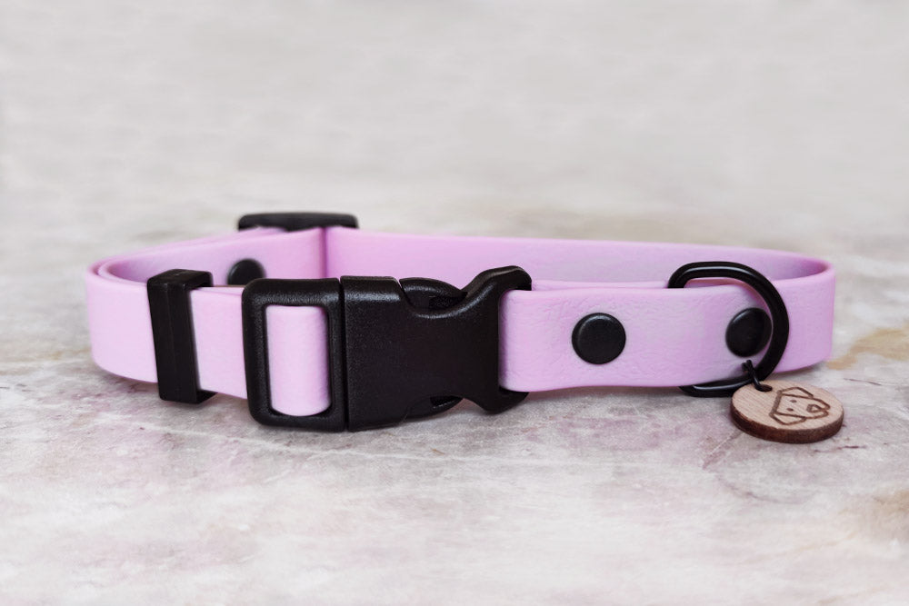 Coleira Light Lavender