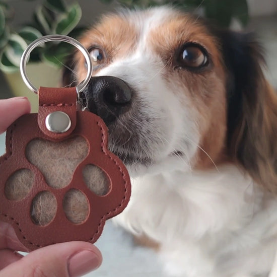 Video porta-amor My Golden Pet