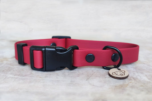 Coleira Light Ruby