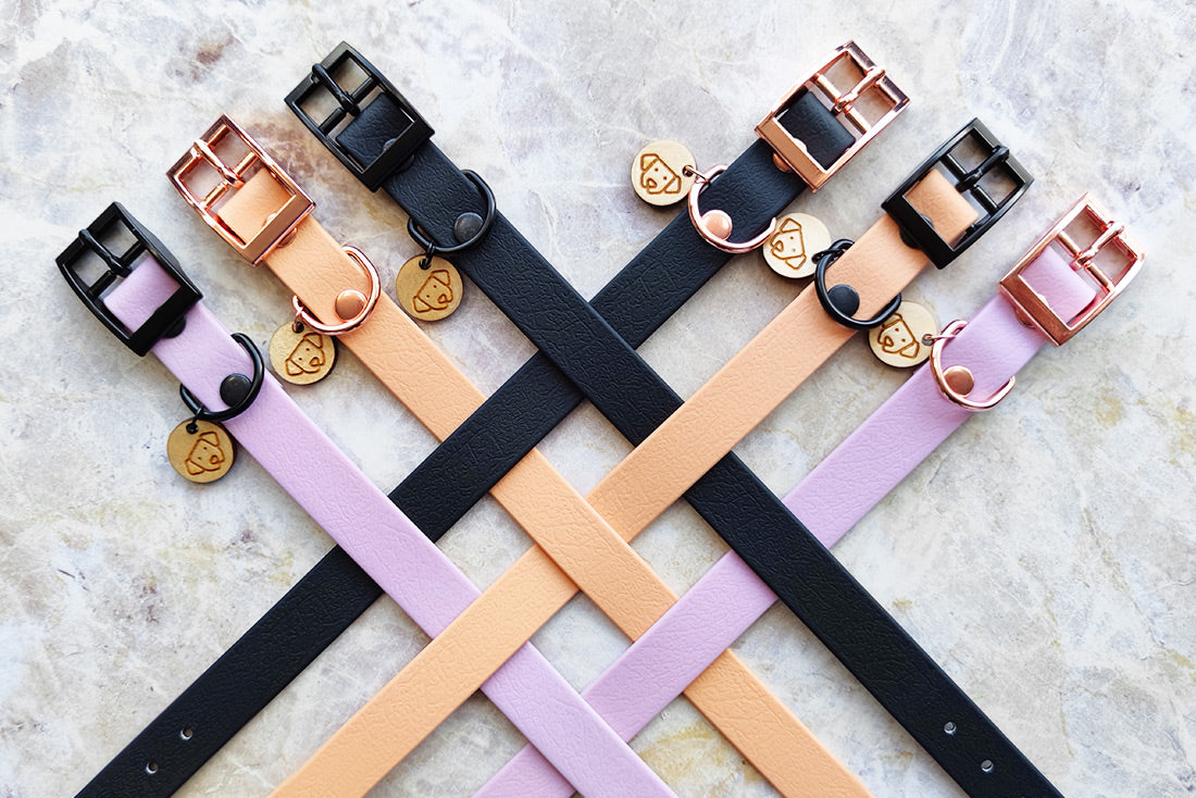 Coleira Classic Meteor