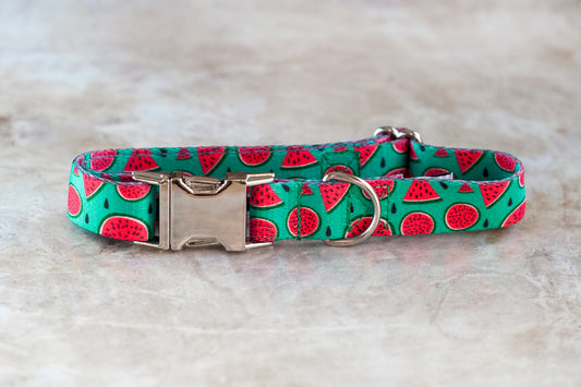 Coleira Magali