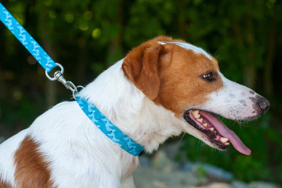 Trela Lizzy - ÚLTIMAS UNIDADES