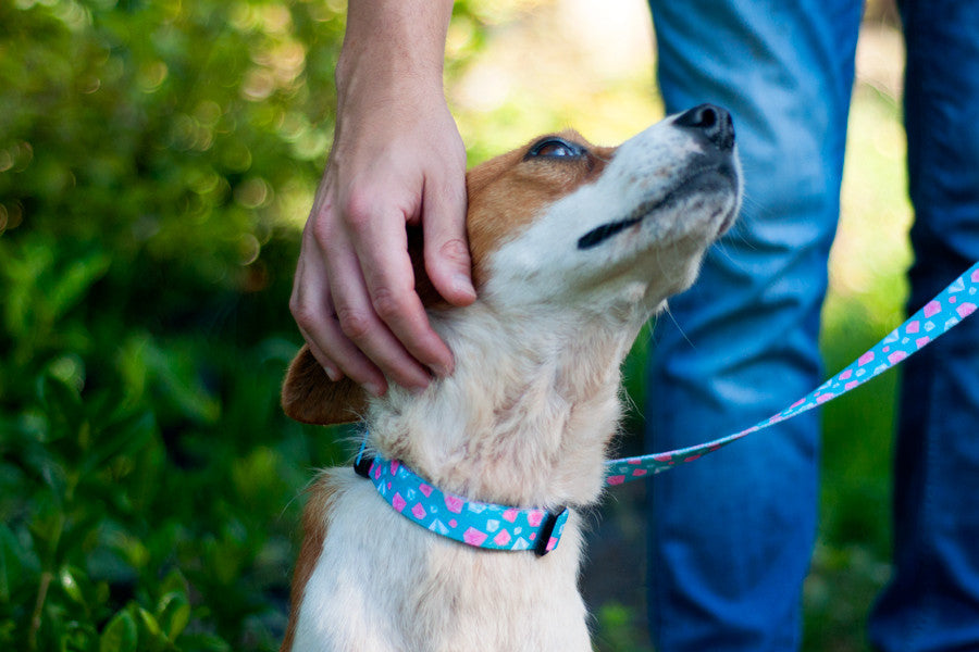 A coleira Tiffany junta os melhores amigos das mulheres: diamantes e animais de estimação. Design original e exclusivo .Textura suave e sedosa para maior conforto.Materiais duráveis, resistentes, recicláveis e laváveis . Tamanho regulável para ajuste perfeito no pescoço do cão. Feita à mão em Portugal