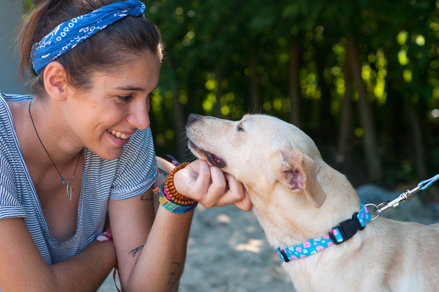 A coleira Tiffany junta os melhores amigos das mulheres: diamantes e animais de estimação. Design original e exclusivo .Textura suave e sedosa para maior conforto.Materiais duráveis, resistentes, recicláveis e laváveis . Tamanho regulável para ajuste perfeito no pescoço do cão. Feita à mão em Portugal