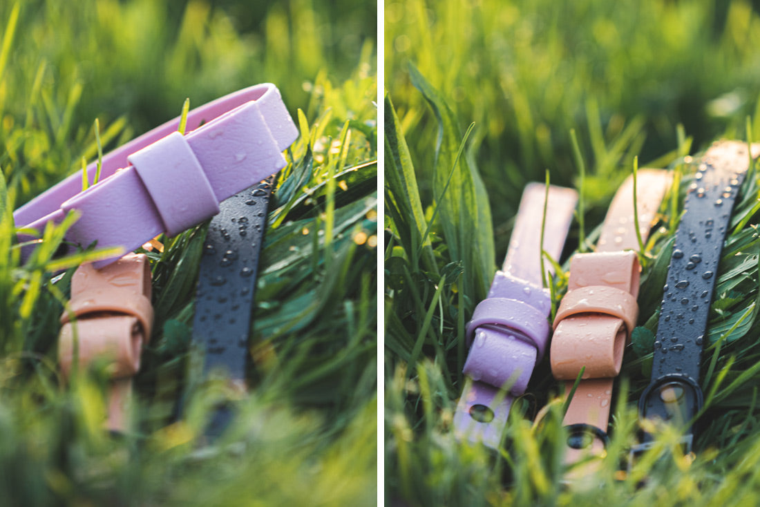 Coleira Classic Meteor