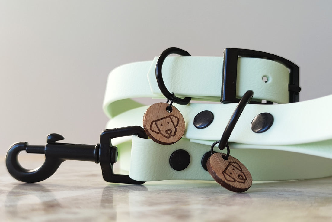 Coleira Classic Mint