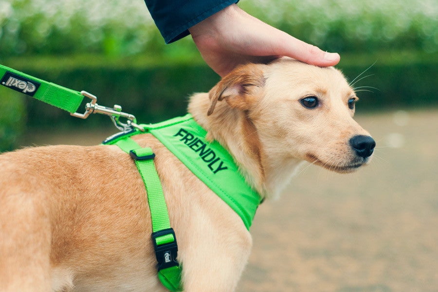 Peitoral Friendly Suave - ÚLTIMAS UNIDADES