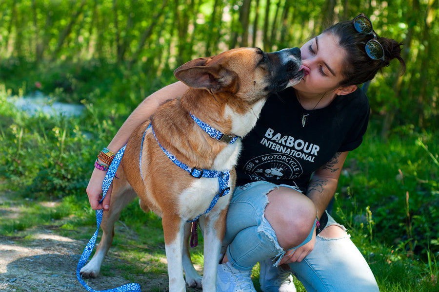 Peitoral Step In - vários designs